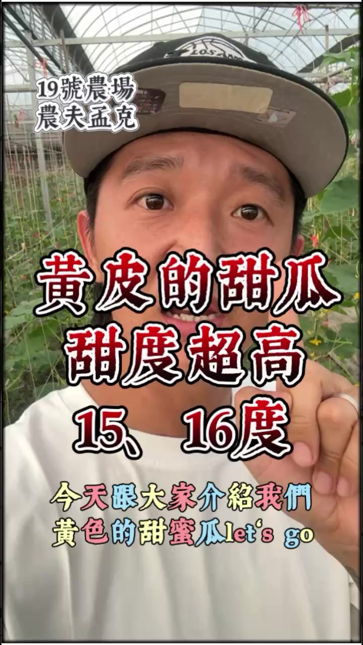 跟著鄭大師玩科學 - 這應該是黃皮香瓜新品種「臺南15號」。相較於小時候的古早種黃香瓜「梨仔瓜/黃皮棗瓜/金輝」，臺南... | Facebook