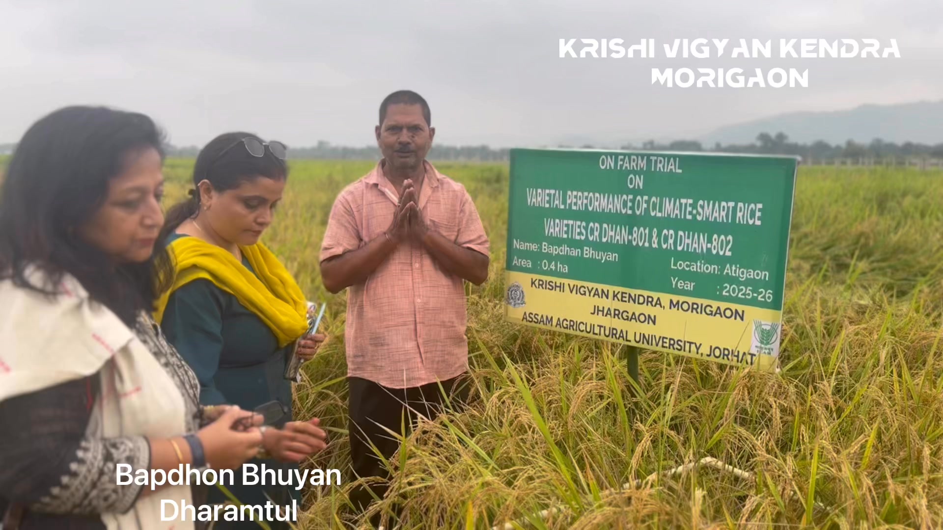 On farm Trial on Varietal Performance of Climate Smart Rice Varieties ...