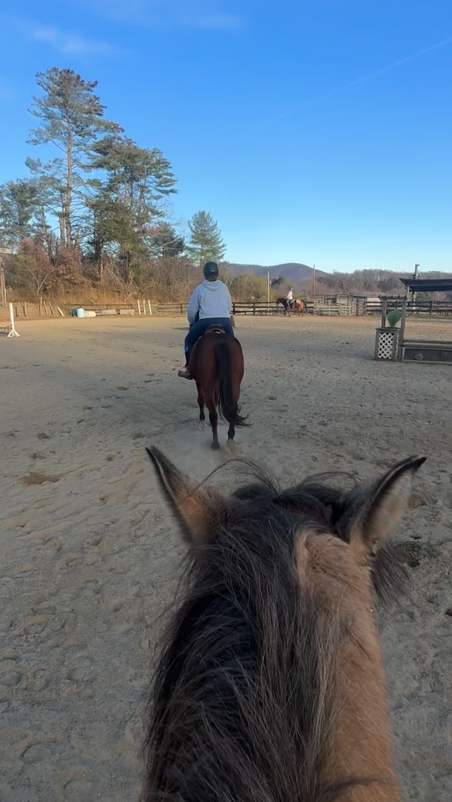 It was a great day for some riding lessons 🐴 #rbhorseandcattle # ...