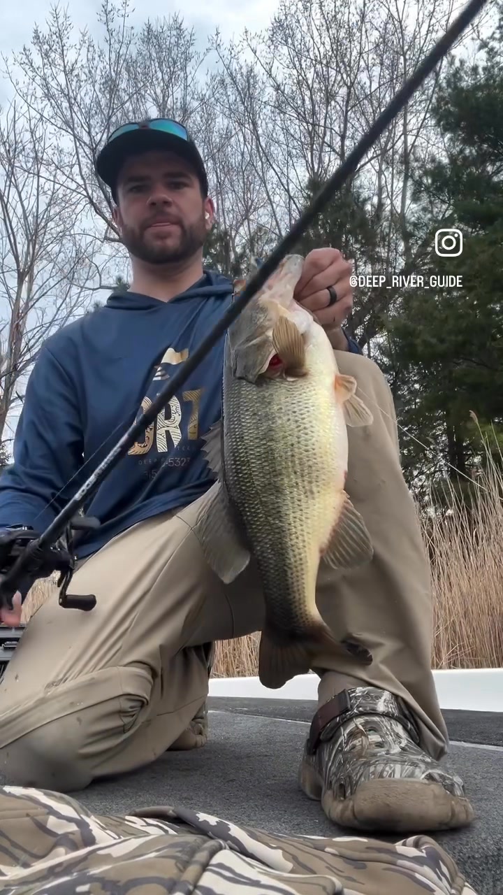 shakespeare ugly stik gx2 6 6 spinning combo Spincast POLES AND WHIPS. POLES AND WHIPS: DAIWA POLES & WHIPS Hooks:1 Fishing Tackle Japanese Electric catching cosmetics.