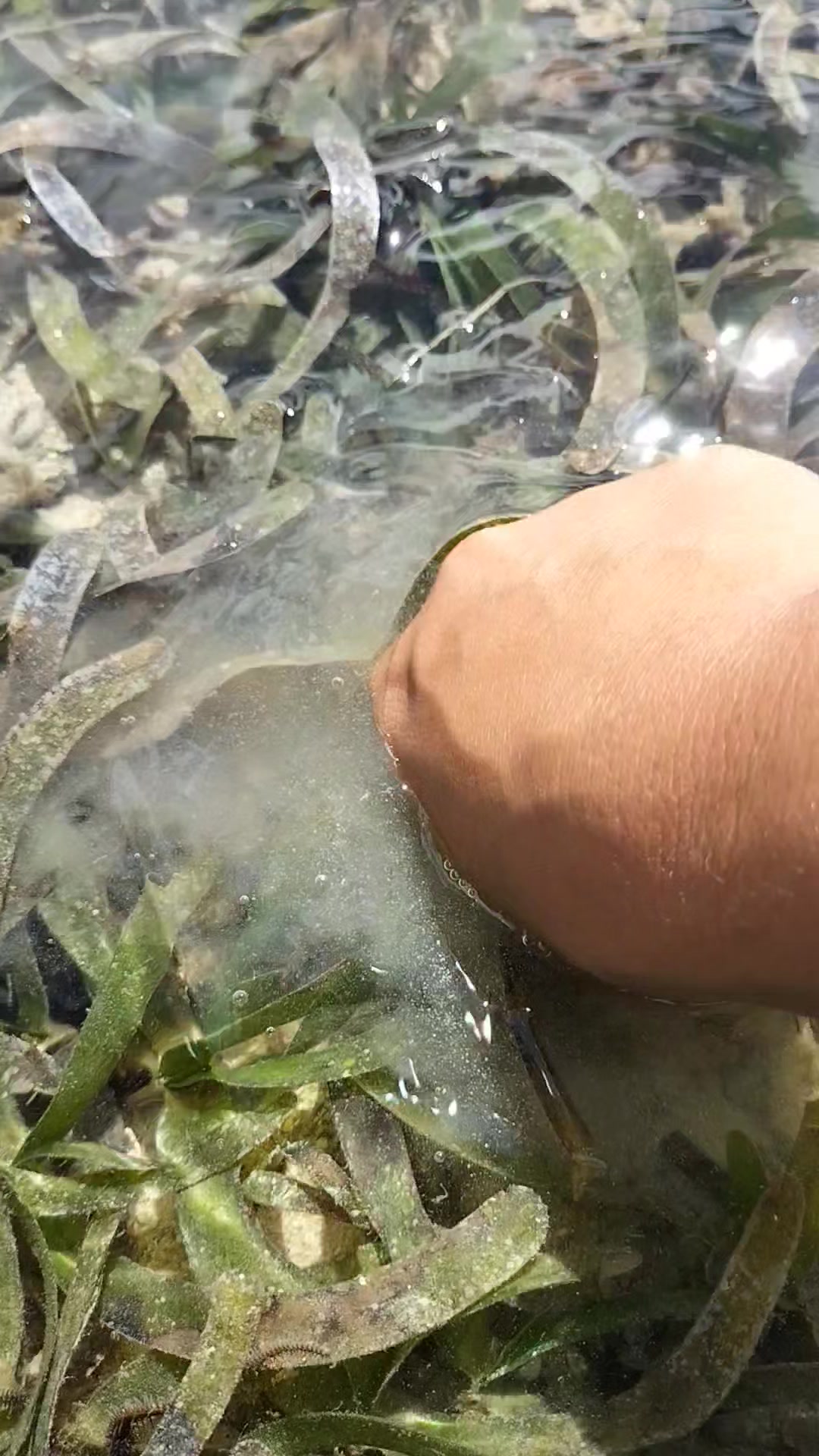 Kadagko sa Bug-atan #seashorevibes #seaadventure | Ernalyn Ybañez Rubin ...