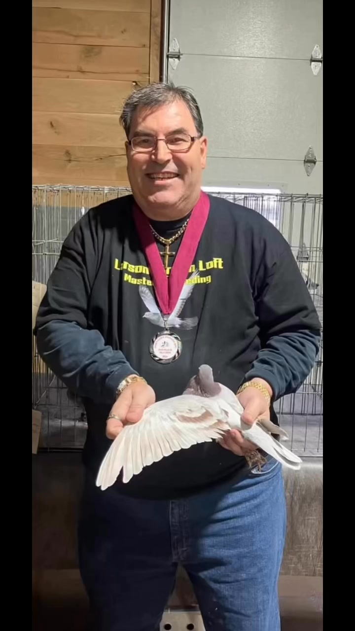 Are you new to pigeon racing and looking for extra assistance? Become a ...