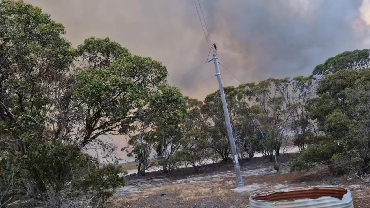 🚨🚨BUSHFIRE EMERGENCY 🚨🚨 An out-of-control bushfire continues to rage in ...