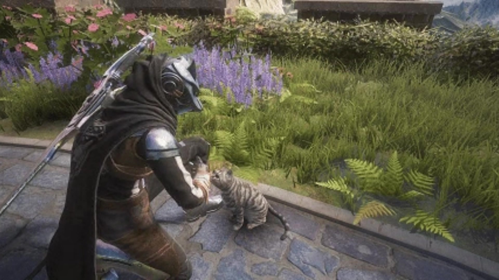 🚨Players will be able to pet cats in Destiny: Rising. Other social ...