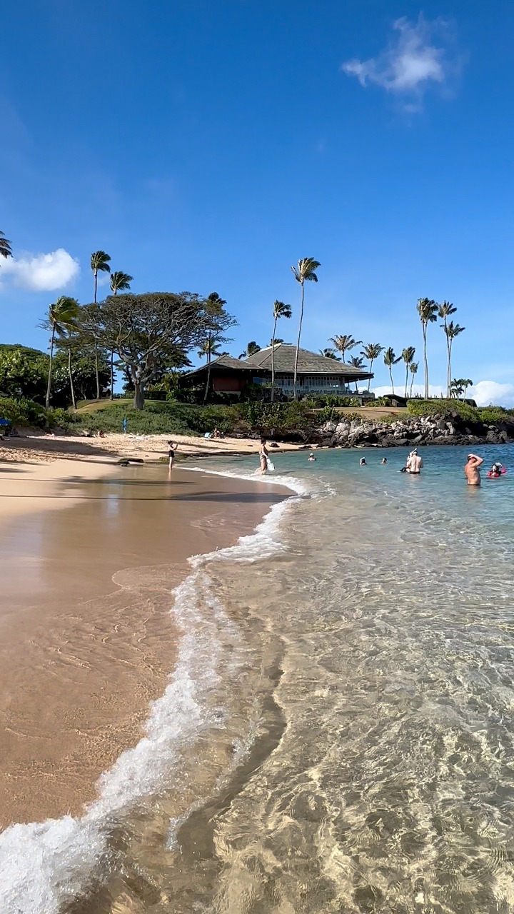 Kapalua Bay Beach 🏖️ Maui, Hawaii 🌺 #Aloha #fblifestyle | Adam Hancock ...