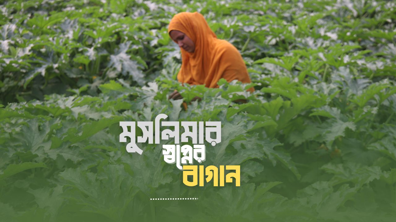SACP-RAINS | Dhaka