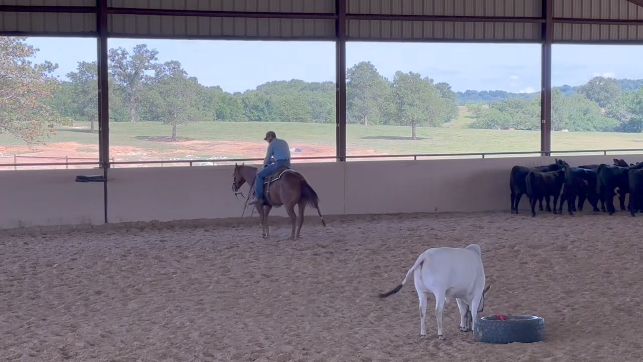 Payne Ranch | Marietta OK