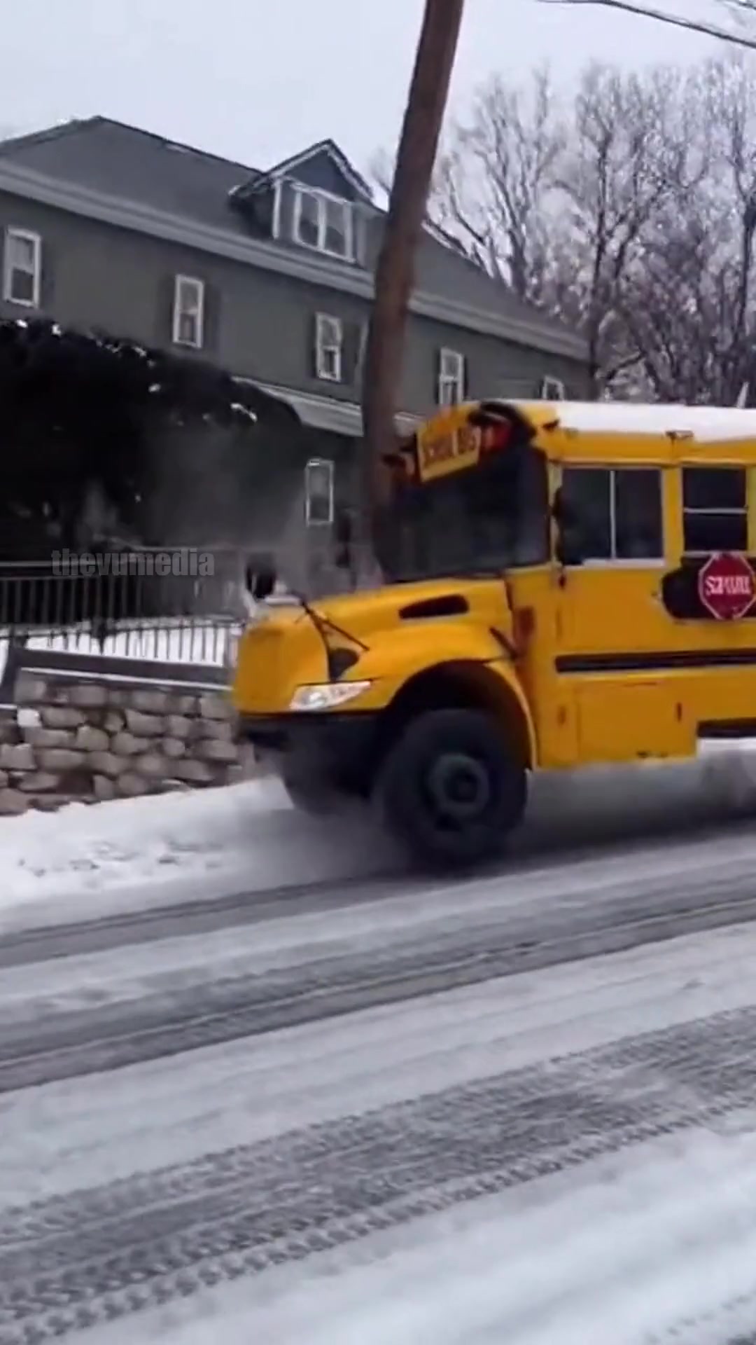 A heart-stopping amateur video captures the terrifying moment a large ...