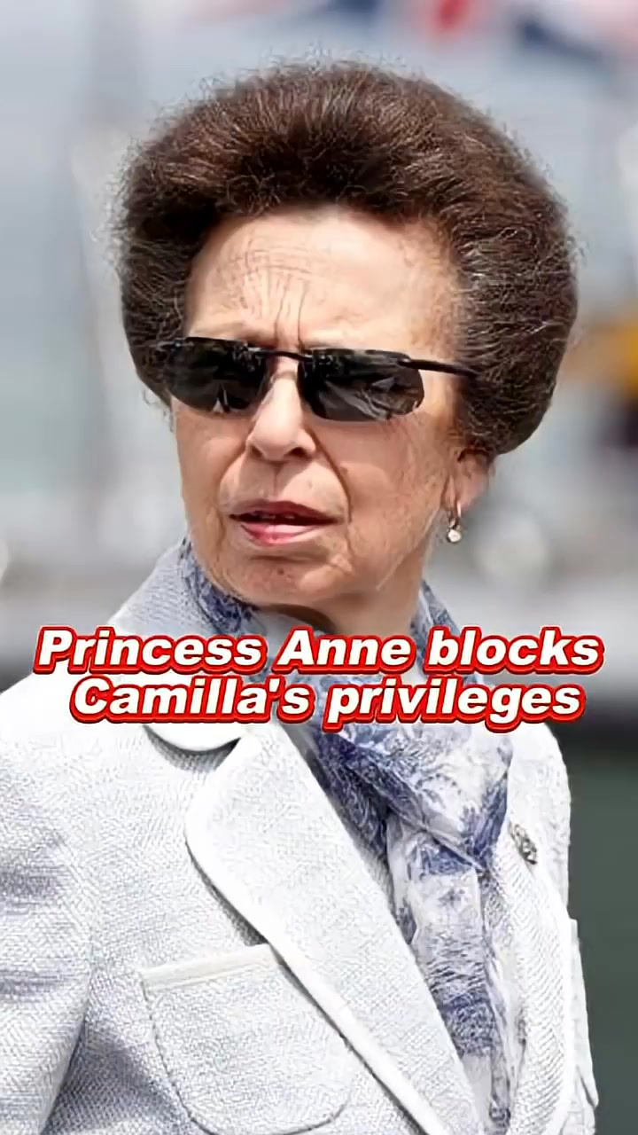 Camilla's sister's stupid behavior #camilla #annabelelliott #william # ...