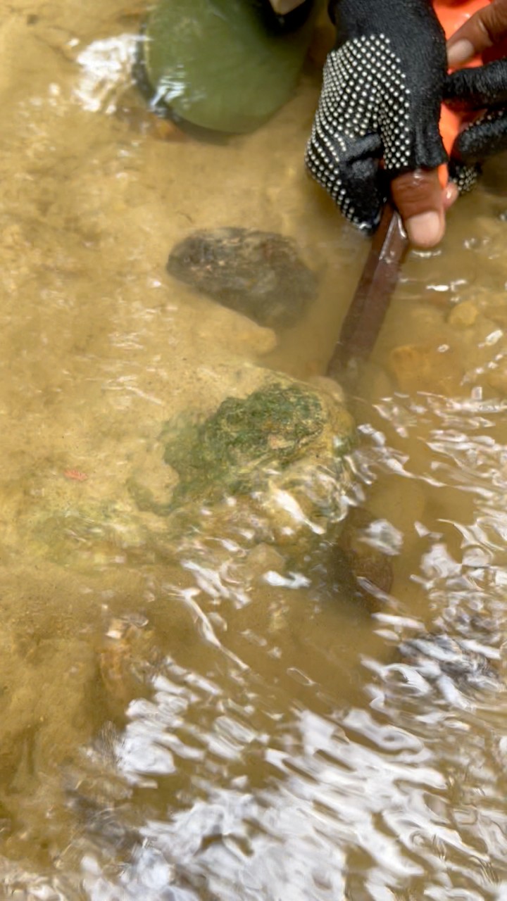 Digging up $999 worth of rocks, on a cliff from a former gold mine. # ...