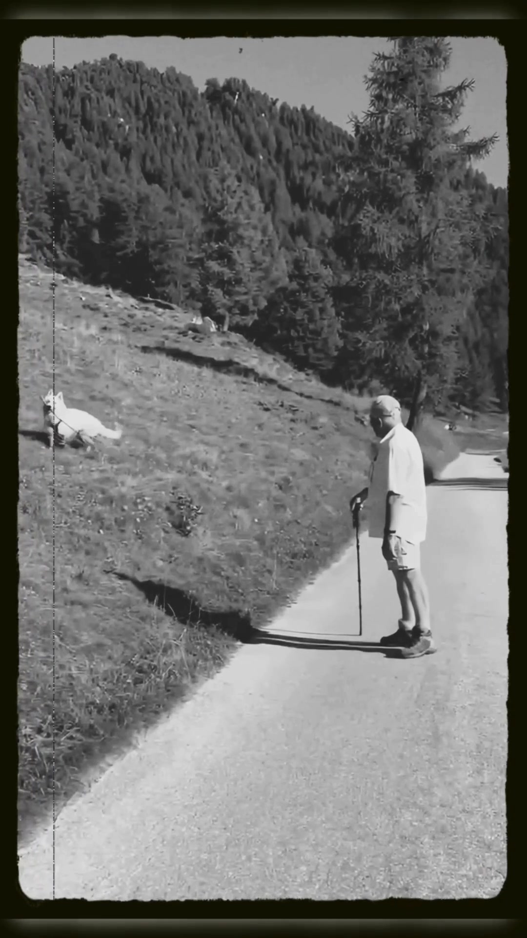 Frère André Rousseaux : Hier, Couvin a appris le décès du frère André ...