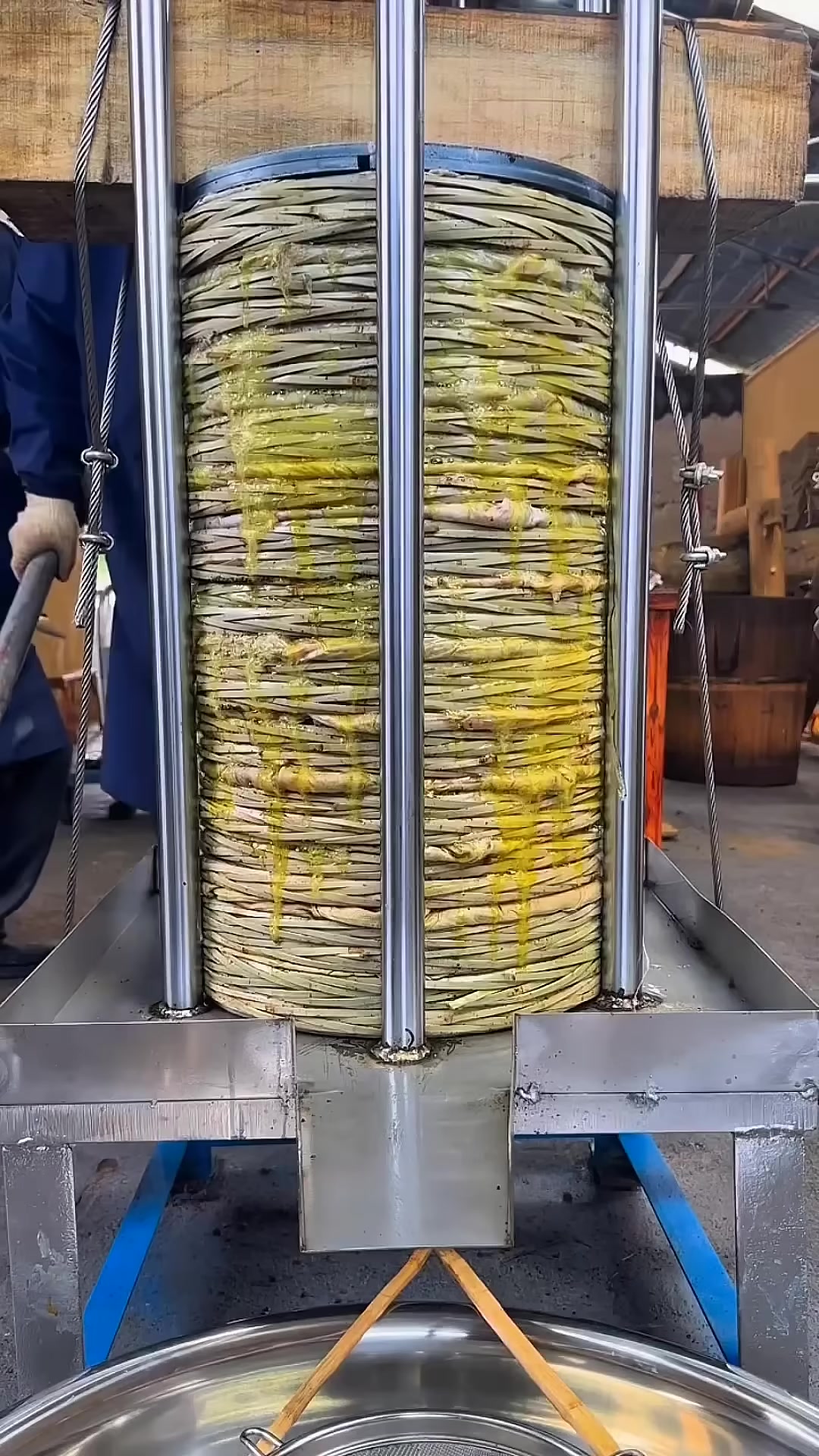 How Traditional Rapeseed Oil Is Made – Step by Step #shortviral #oil ...