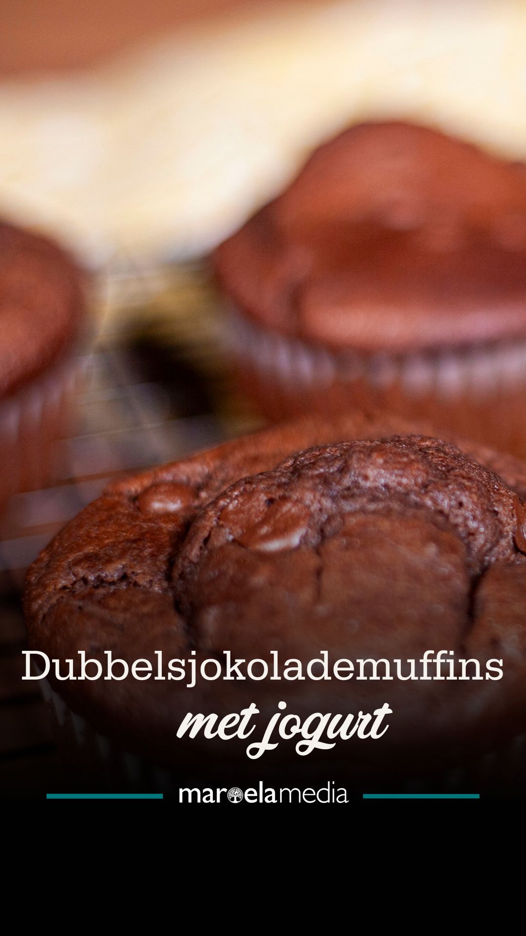 Dié sjokolademuffins is ideaal vir ŉ vinnige peuselhappie op besige dae ...