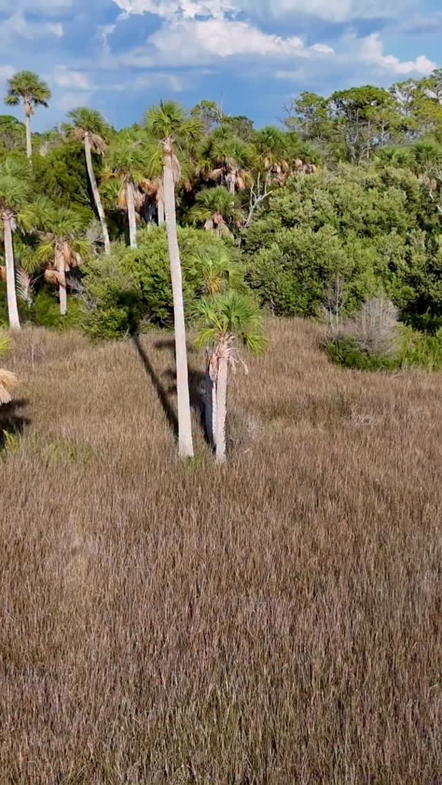 explore-wild-florida-old-florida-vibes-facebook