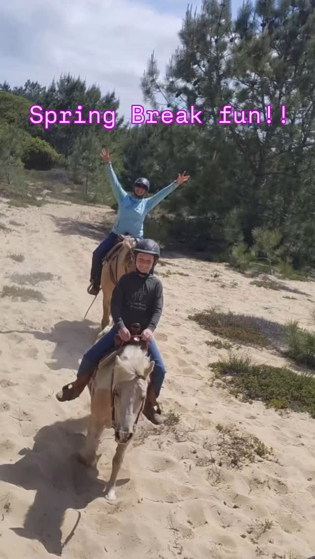 BnL Riding School | Aptos CA