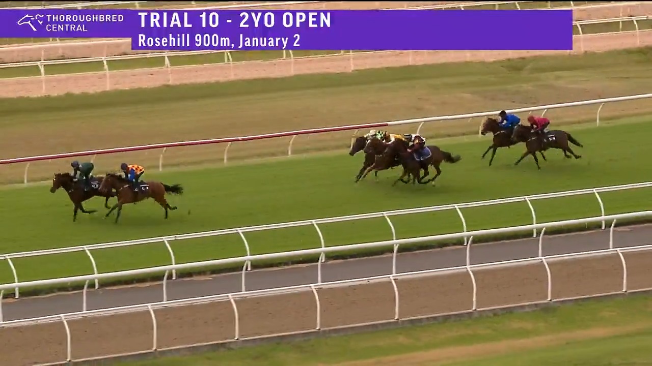 Breeders' Plate winner Incognito returns with a trial win at Rosehill ...
