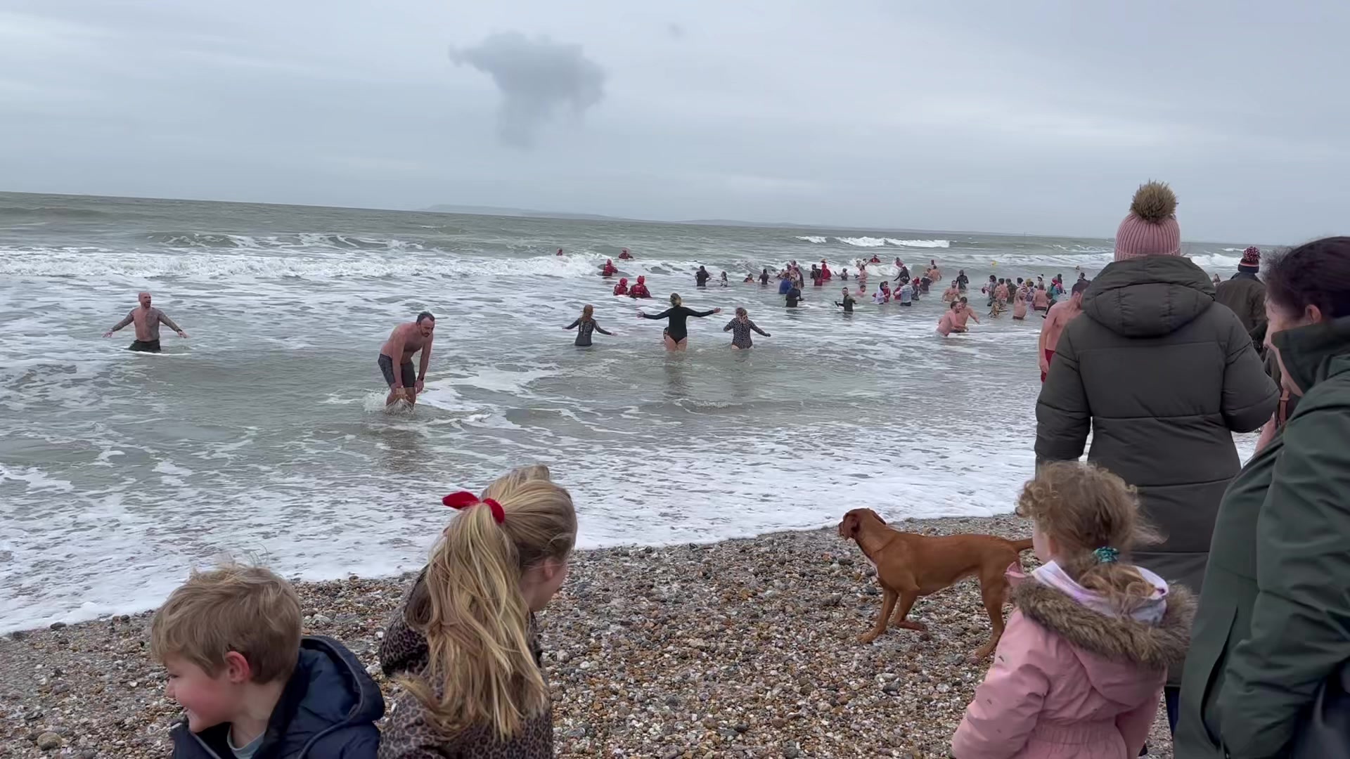 SOSCA Save Our South Coast Alliance on Reels | Facebook