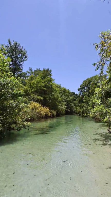 A 12 mile spring-fed river located in Hernando County along the springs ...