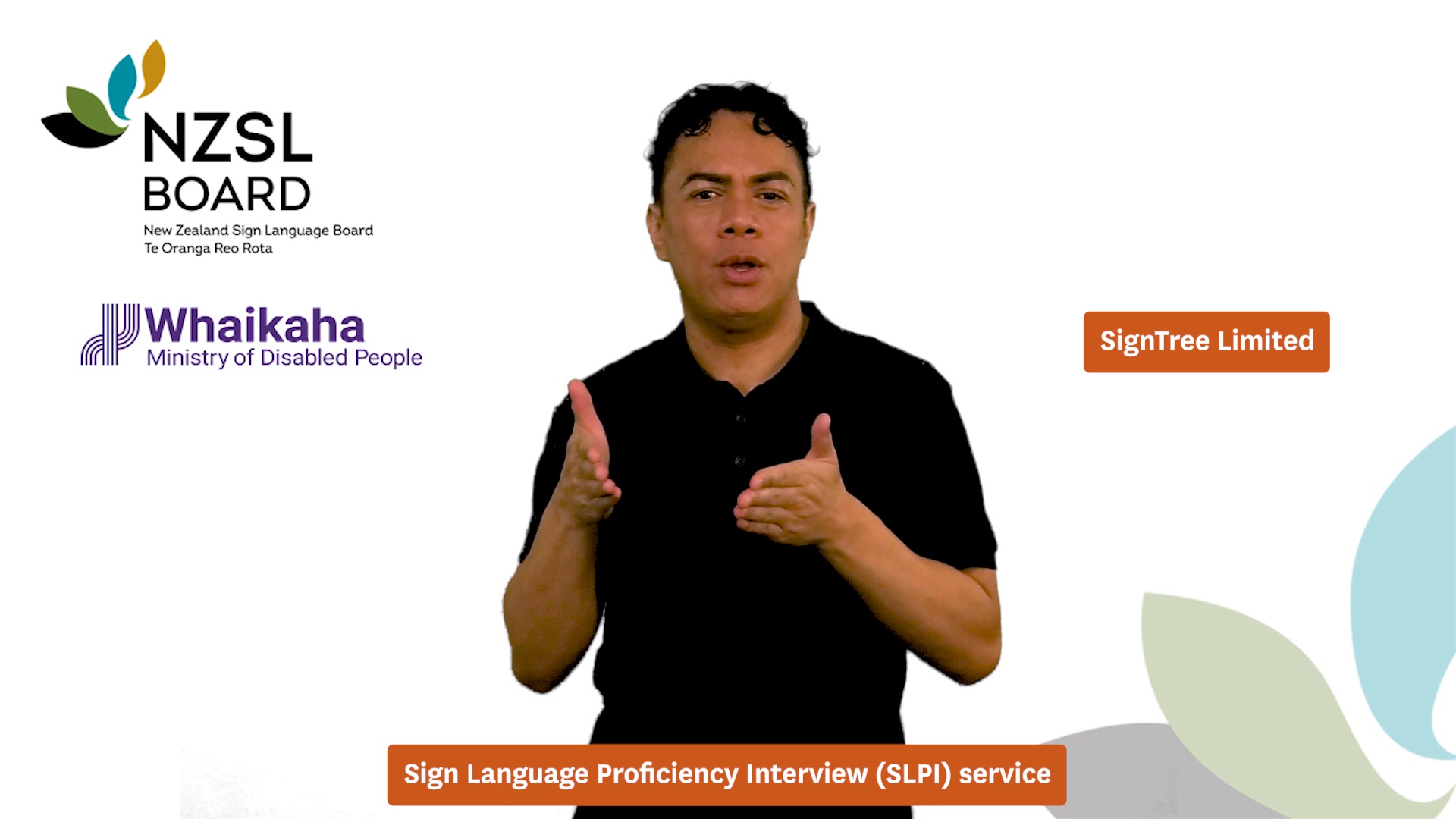 Whaikaha - Ministry of Disabled People will stop administering the Sign ...