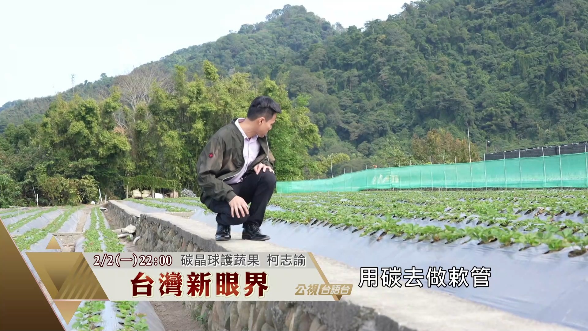 台灣新眼界