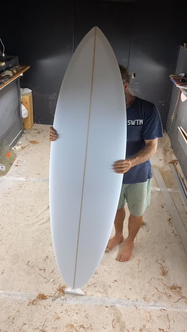 Little rundown on a 6'6” swallow if you got time to sit through it