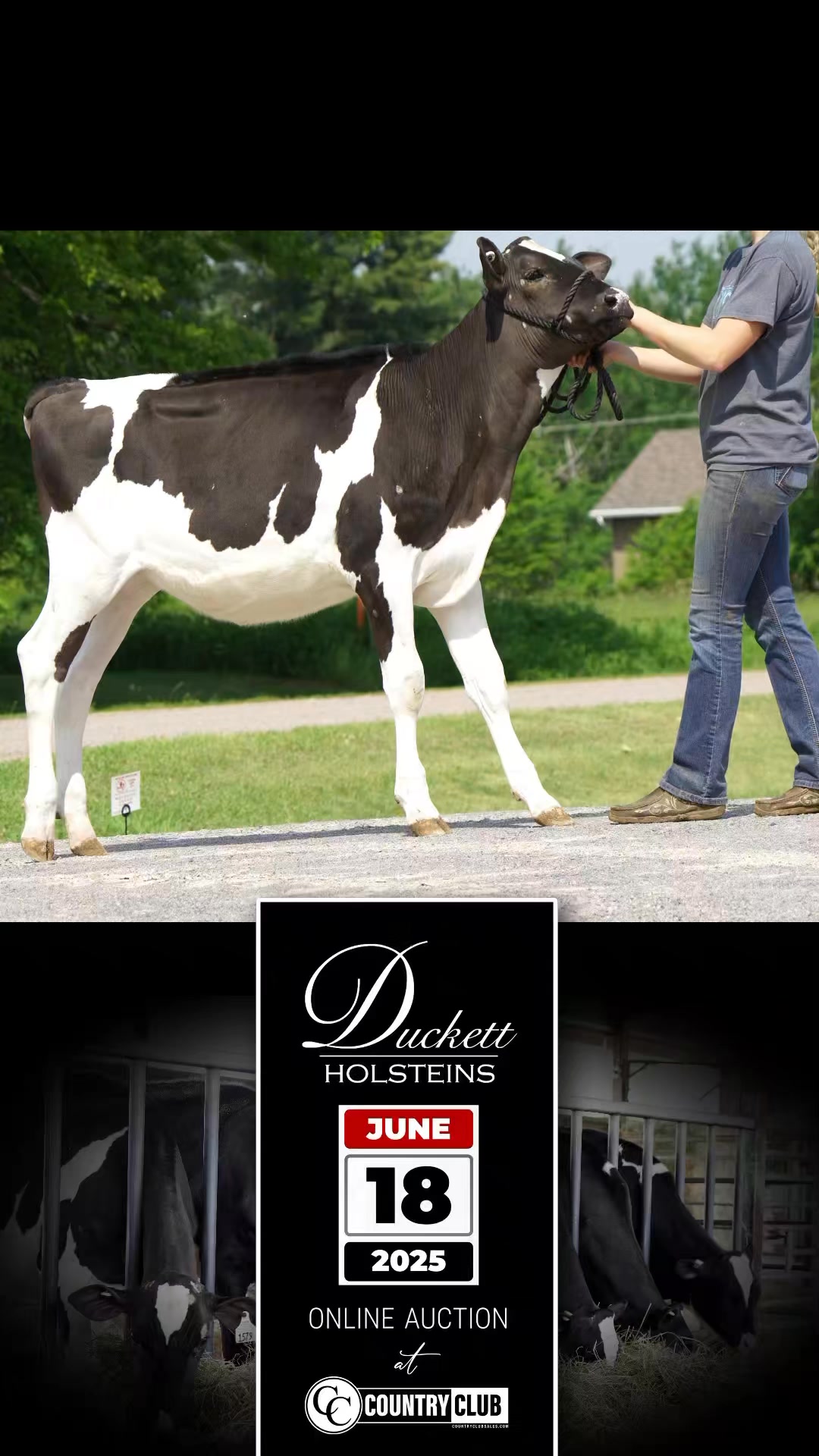 It may be just a small 60 cow tie stall barn to some, but it’s much ...