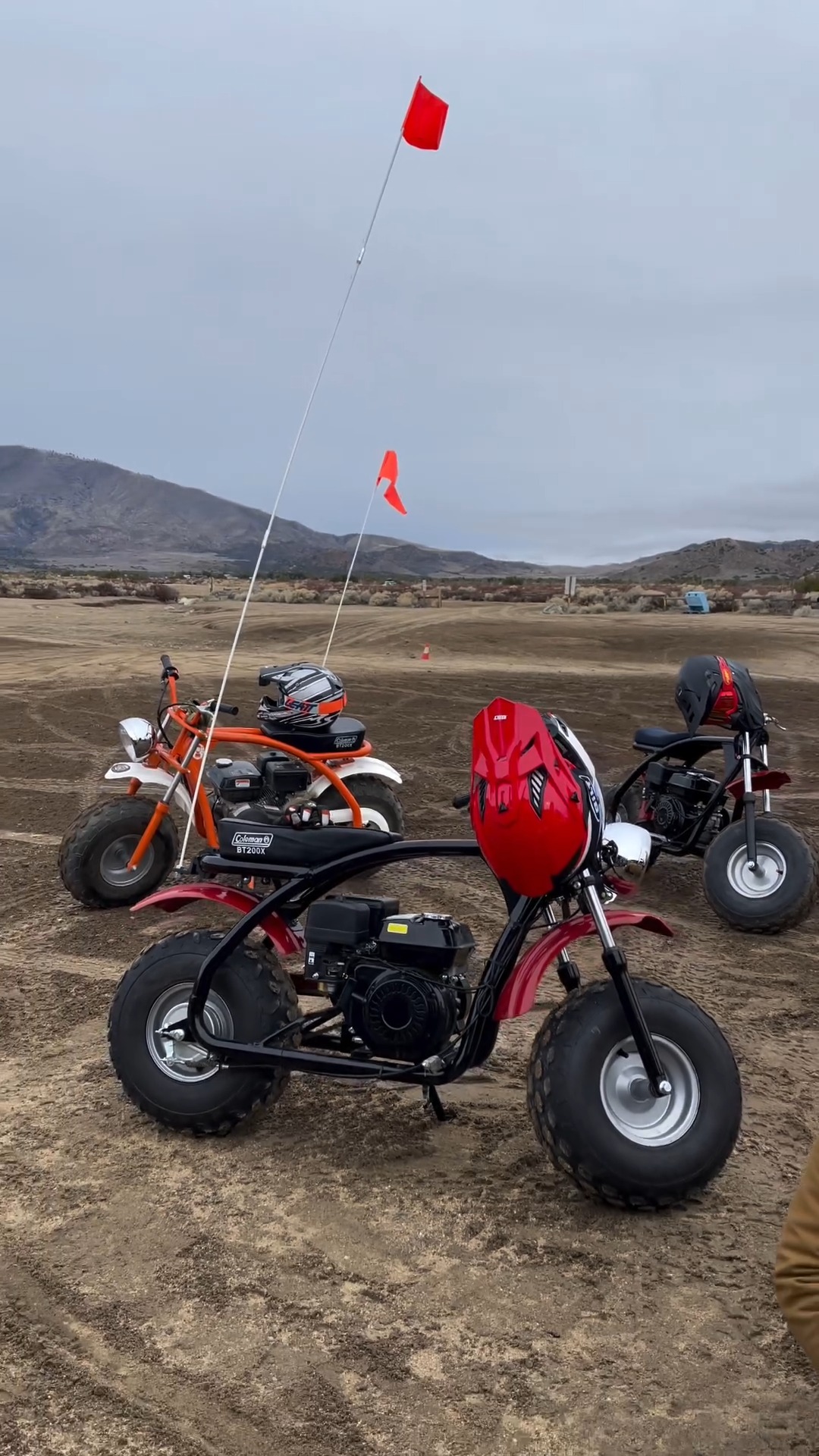 coleman mini bike adventure B200R Powerful 196cc Engine Desert adventures powered by Coleman!