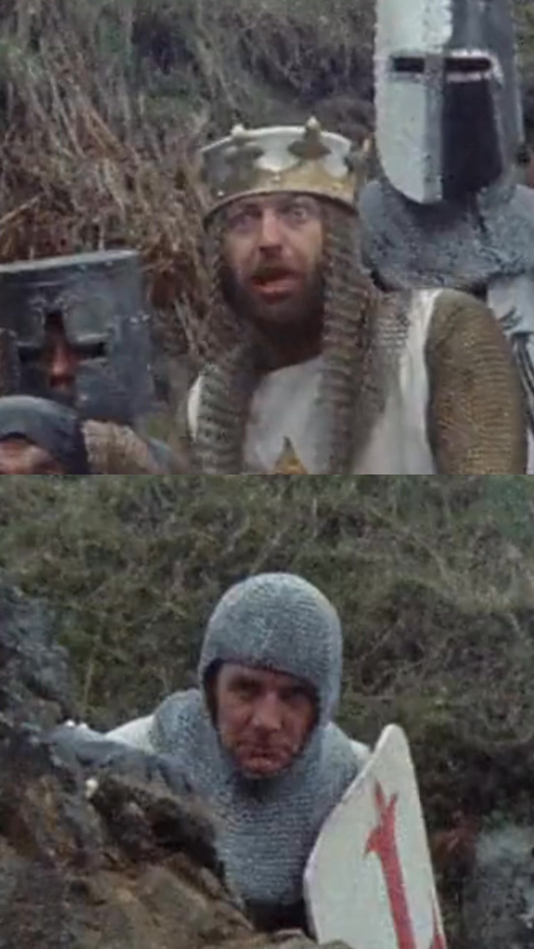 Witness the aftermath of a brutal bunny battle in this hilarious and ...