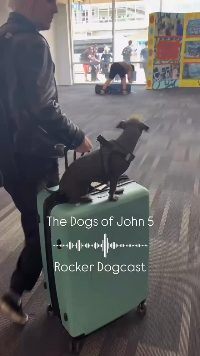 John 5 on the Rocker Dogcast . Listen now on Apple Podcasts, Spotify ...