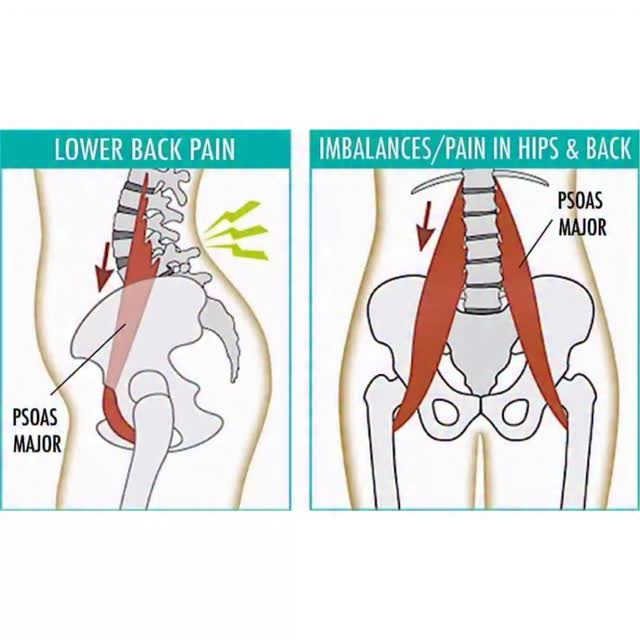 NeuroKinetic Therapy added a new photo. - NeuroKinetic Therapy