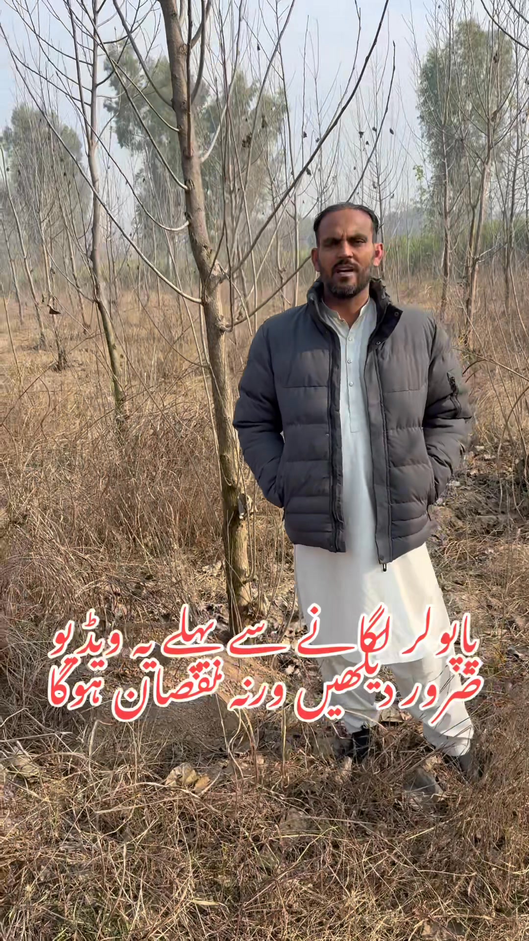 پاپولر لگانے سے پہلے یہ ویڈیو ضرور دیکھیں ورنہ پچھتاوا ہی رہ جائے گا ...
