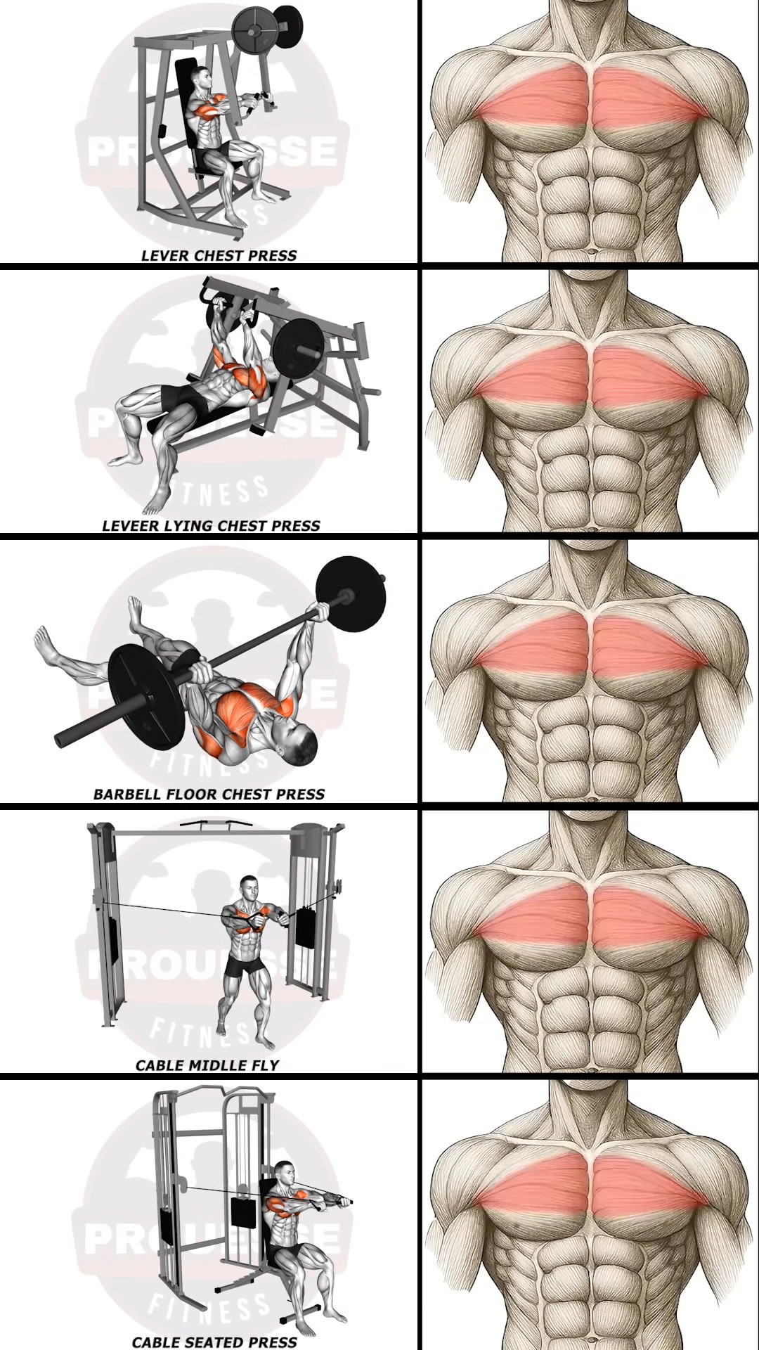 Middle Chest Workout Explained — Control, Form, and Tension 🔥# ...