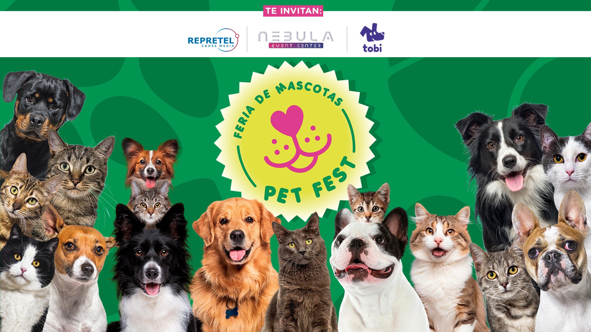 🐶 ¡Una actividad para toda la familia y para los peluditos del hogar ...
