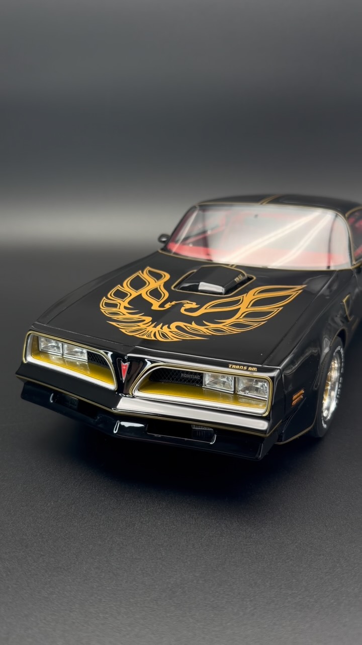 Vintage OTaki 1/12 Pontiac Firebird Trans-Am model kit nostalgia