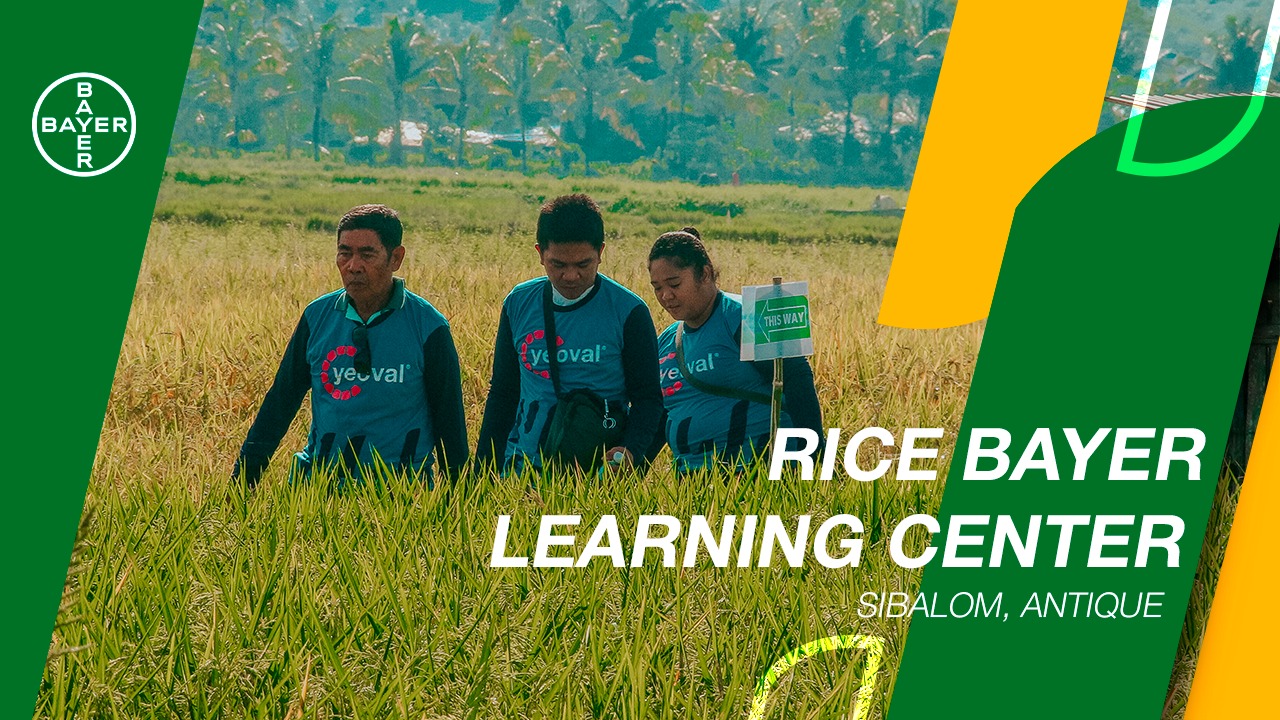 RICE BAYER LEARNING CENTER | Sibalom, Antique Balikan at panuorin natin ...