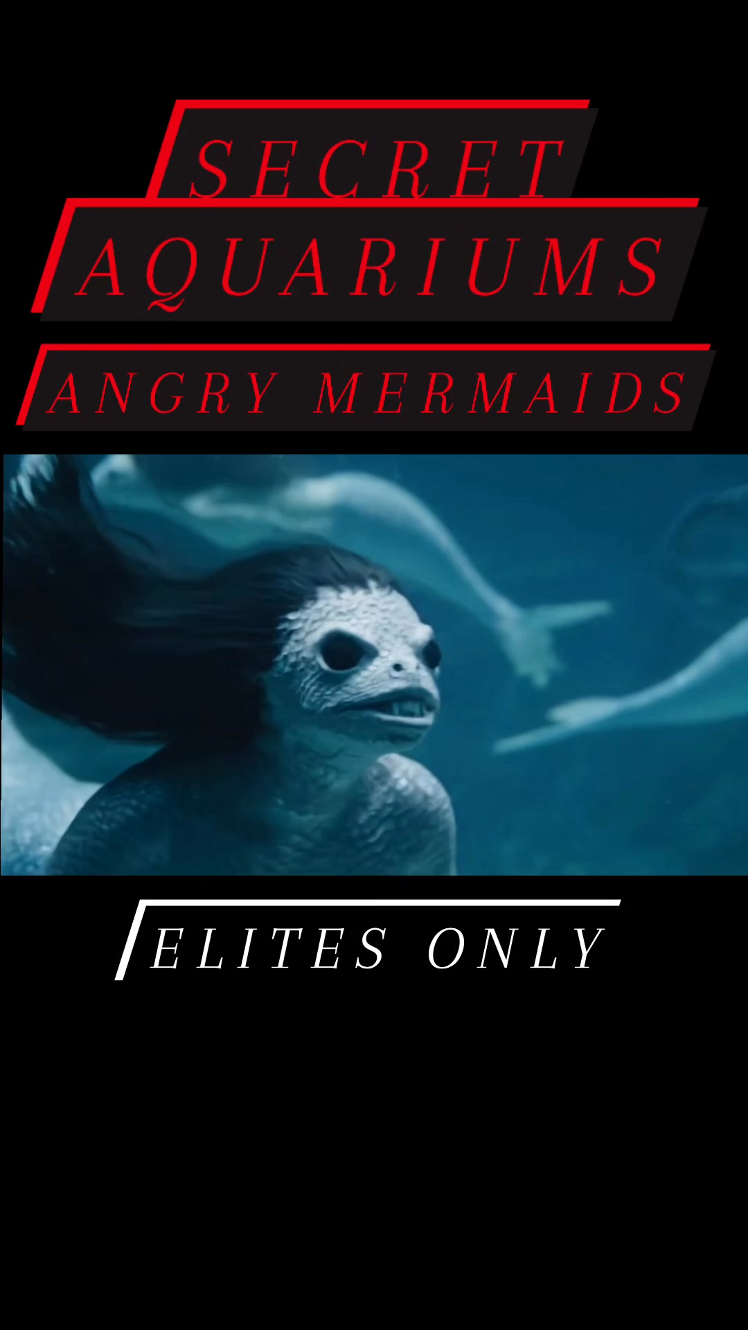 Angry Mermaids | Secret Aquarium for the Elites Only. Disclaimer: This ...