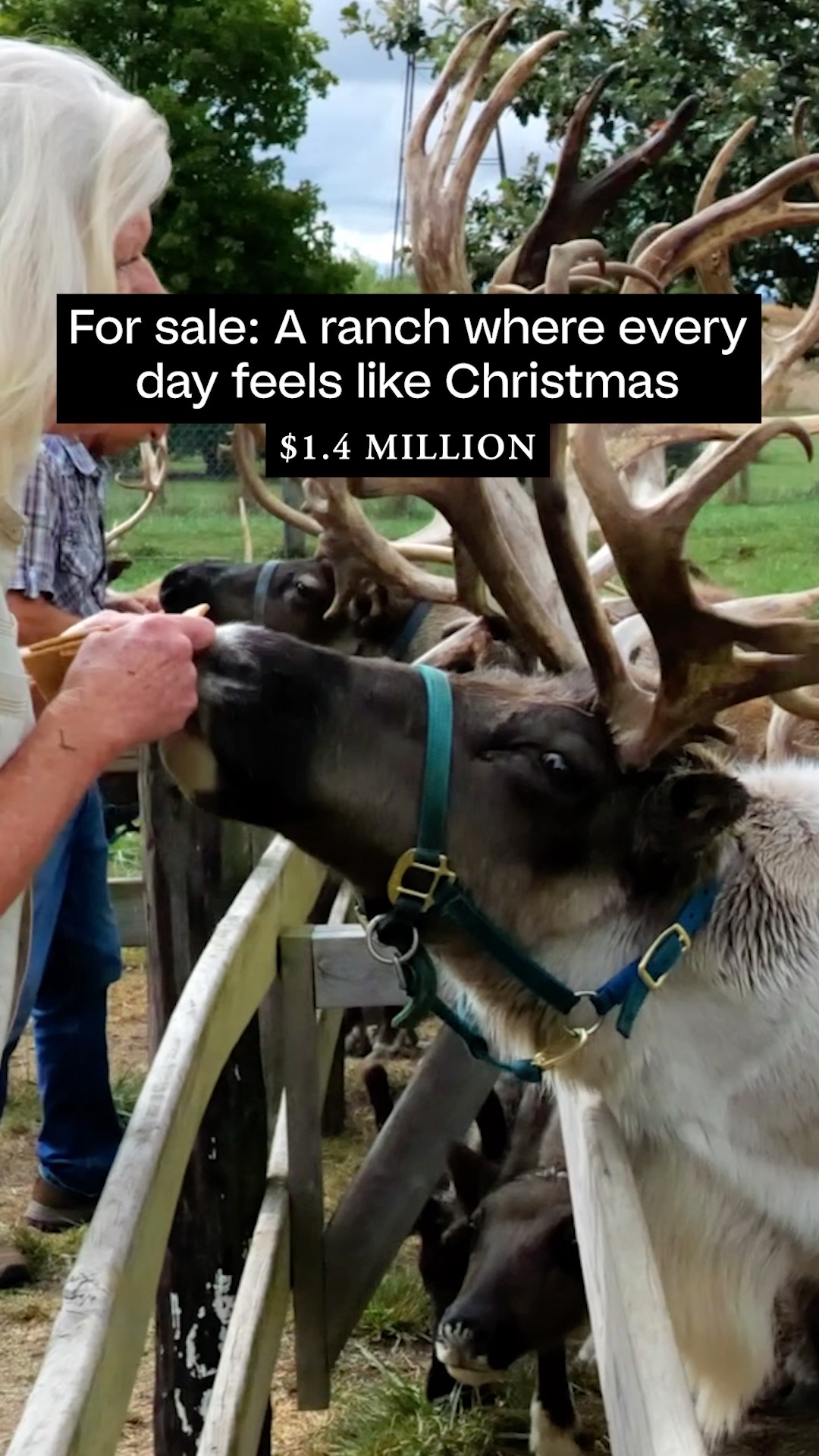 Looking for the perfect blend of holiday magic, country charm and a ...