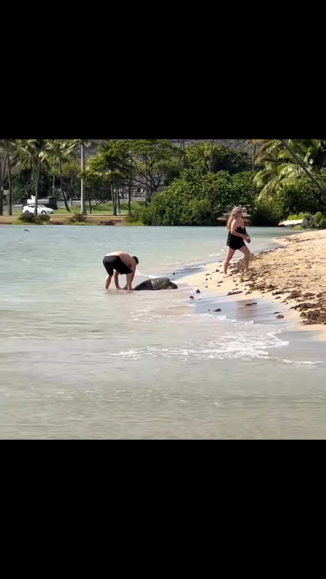 ‘Disturbing, disgusting:’ Man caught on camera picking up sea turtle ...