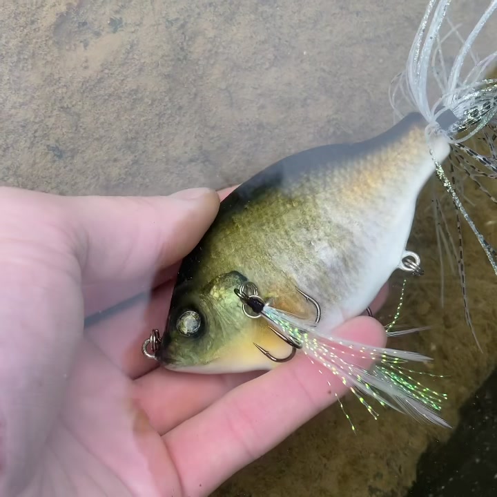ゾーイ フレッシュベイトルアーズ 魚皮 FRESH BAIT LURES | GOOD OPEN