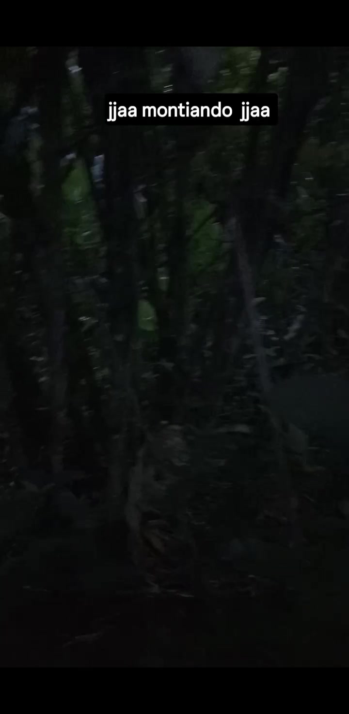 jjaa mañana hermosa en el campo jjaa | Luis Videos