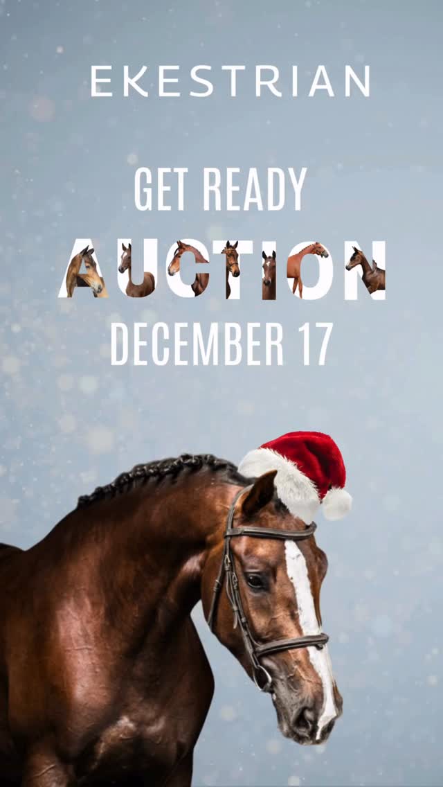 🎄🎁Last Ekestrian Auction of 2025 ✨ 📆Wednesday, December 17th