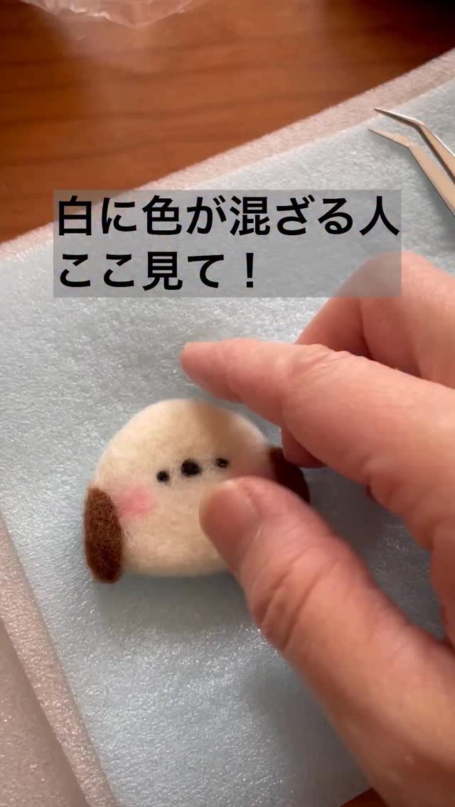正解は ⁡ アライグマさんでした❣️ ⁡ #アライグマ