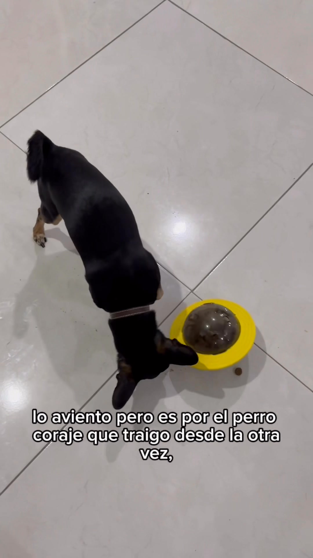Randy a veces es tremendo pero muy inteligente #fblifestyle #Randytito ...