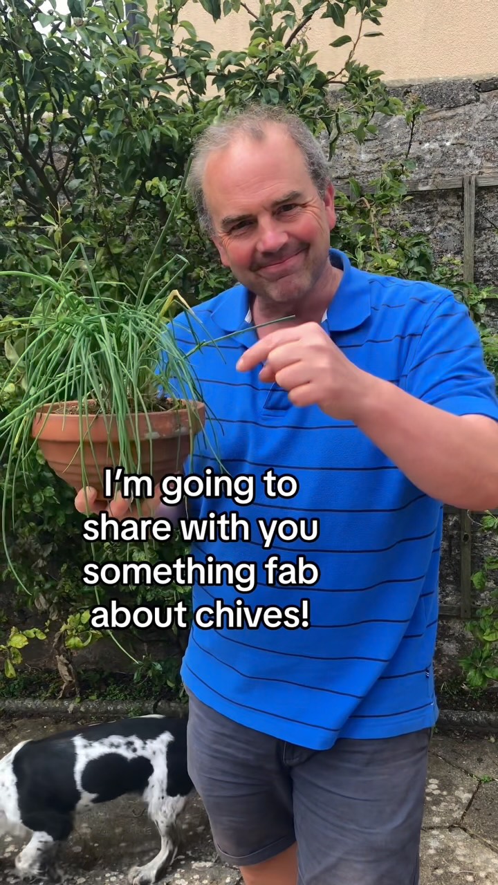 Enjoy chives all year round by making a chive shaker and keeping