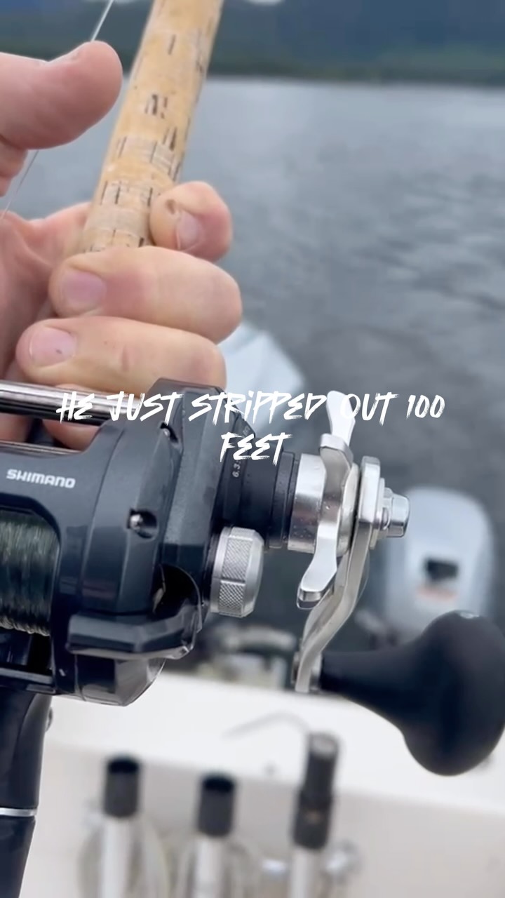 shimano 4000 gt mooching reel Ultegra FC Spinning material-cotton With a gear ratio Fish box - 1000 Color:SALTIGA OVER THERE 110S RED FLASH