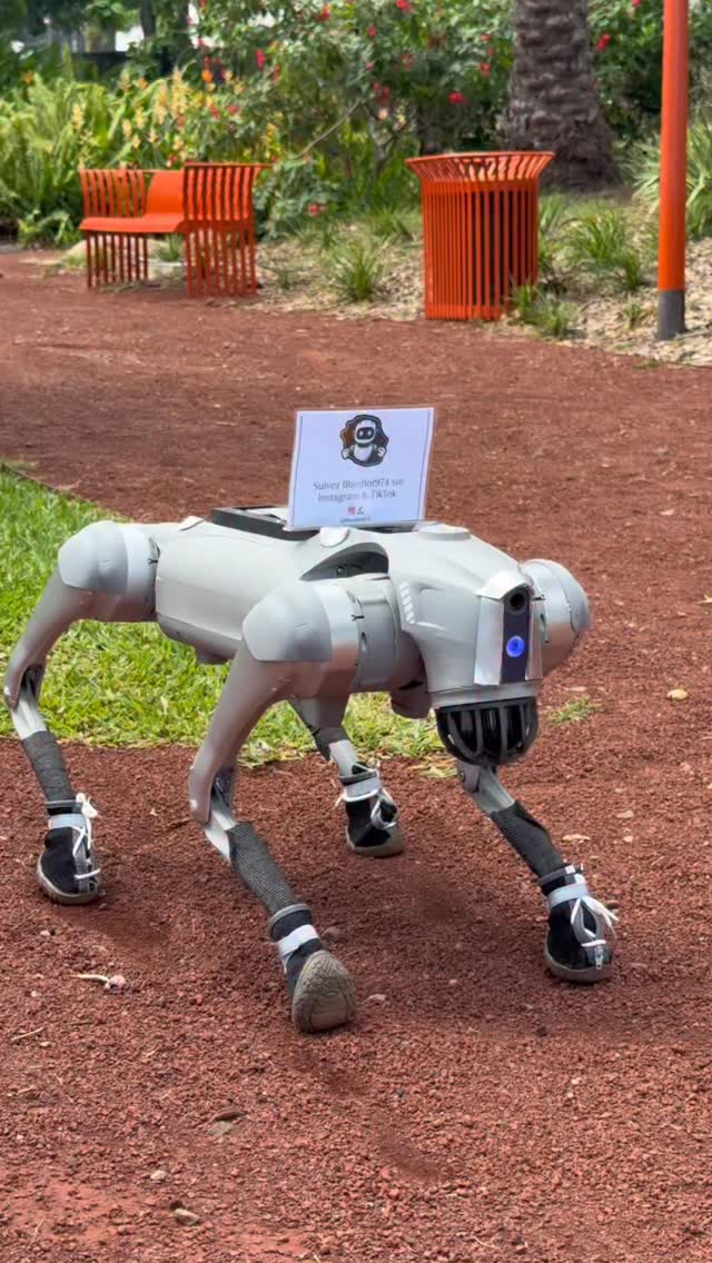 Robot Dog 2025 – Chien Interactif Réaliste – Peluche Robotique – Marche, Aboie, Remue La Queue – Cadeau Pour Adultes Et Enfants