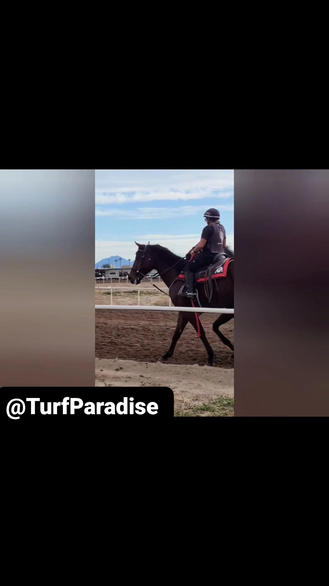 Beautiful day at Turf Paradise. We're fortunate to have use of our ...