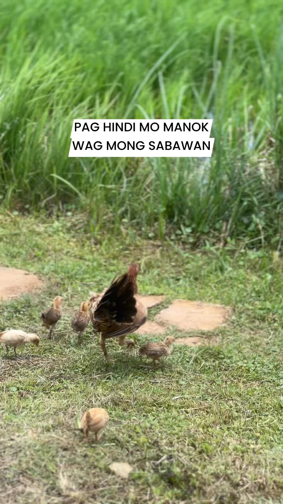 Noted po.😂 | Walta Talks | Facebook