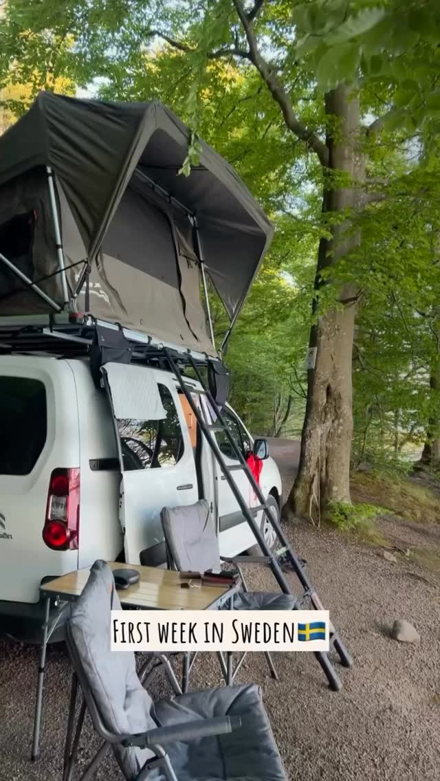 big agnes 1 man tent Tiger Wall UL Person Solution Dye Thickening hair loss shampoo Option:3 personnes the Fly Creek HV 12er Set Clip-Haken für