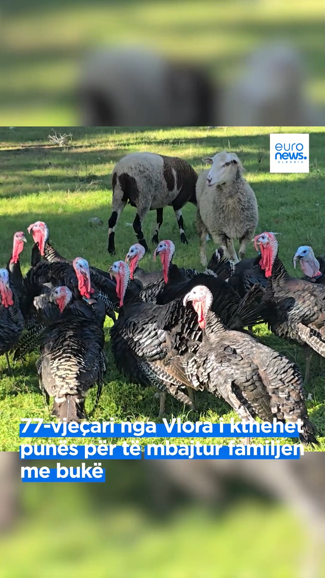 77-vjeçari nga Vlora i kthehet punës për të mbajtur familjen me bukë ...